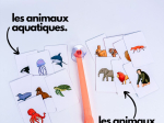 DISTRACTO | ANIMAUX